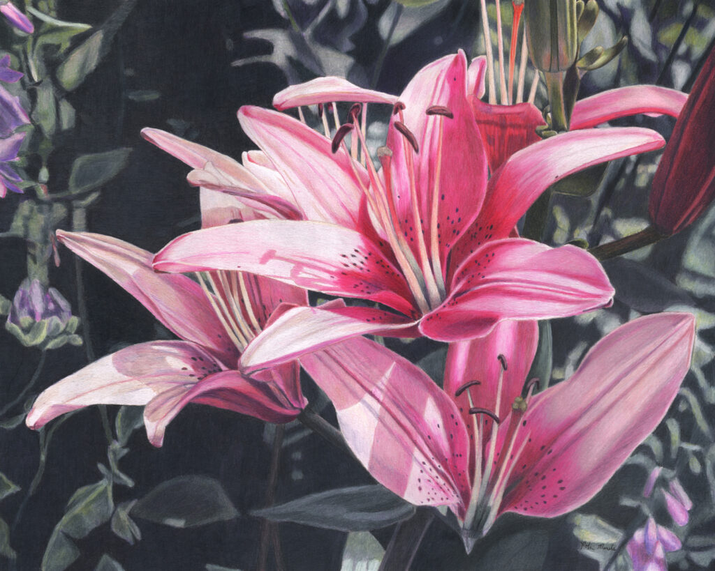 Pink LIlies